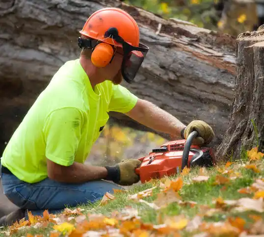 tree services Fallon Station